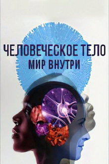 Сезон 1