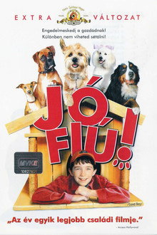 Jó fiú!