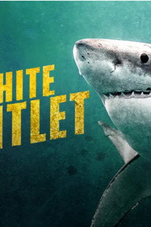 Great White Gauntlet