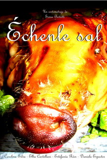Échenle Sal