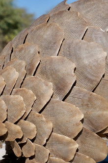 Namibia's Natural Wonders - Season 1