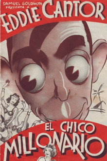 El chico millonario