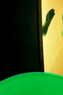 Green Vinyl