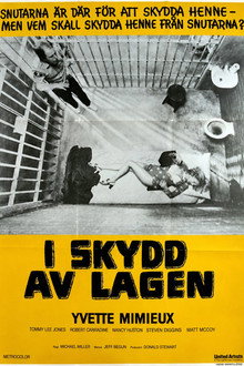 I skydd av lagen