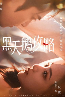 黑天鹅攻略