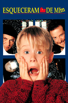 Poster do filme Home Alone