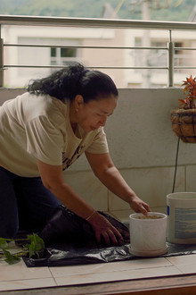 Cuidado de una Orquidea