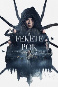 A fekete pók