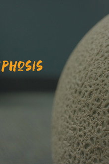 Melonmorphosis