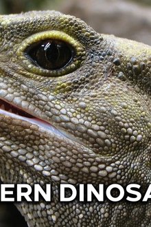 Moderní-dinosauři