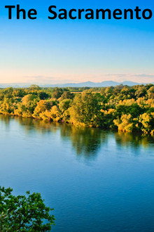 The Sacramento River of Life