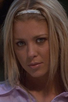 National Lampoon's Van Wilder