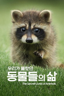 시즌 1