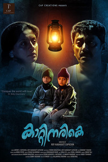 Kaatinarike