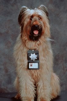 Photo of Betty