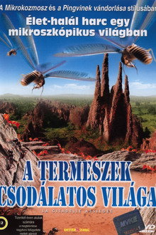 A termeszek csodálatos világa