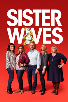 Sister Wives tv show poster