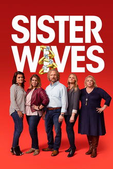 Sister Wives tv show poster