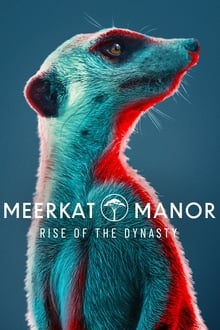 Poster da série Meerkat Manor: Rise of the Dynasty