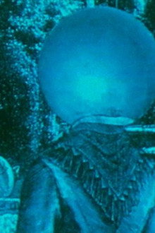 Our Lady of the Sphere