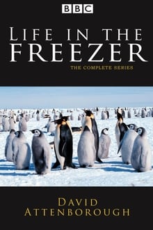 Poster da série Life in the Freezer