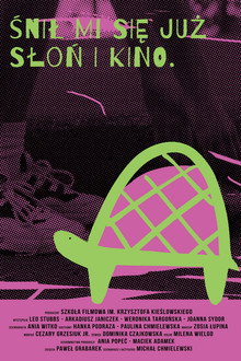 Ravik the Steppe Turtle