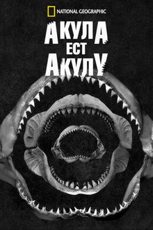 Акула Ест Акулу
