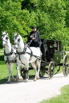 Britain's-Outlaws-Highwaymen,-Pirates-and-Rogues