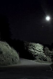 Nightdrive
