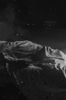 Nocturnal Animals