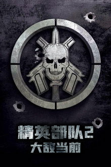 精英部队2：大敌当前