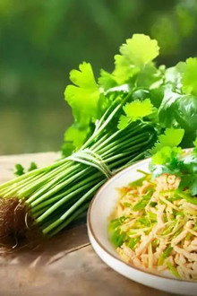 蔬菜总动员