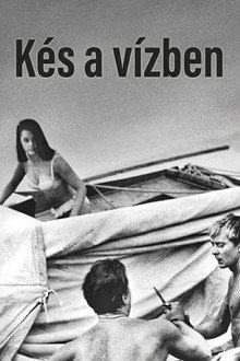 Kés a vízben