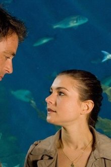Rosamunde-Pilcher-Im-Zweifel-für-die-Liebe