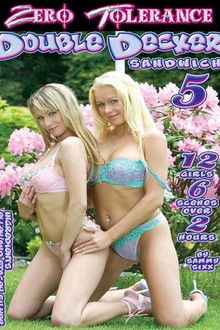 Double Decker Sandwich 5