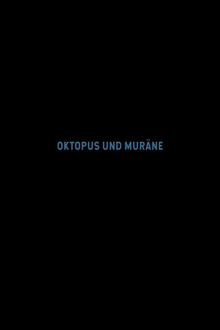 Oktopus und Muräne