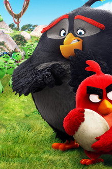 The Angry Birds Movie