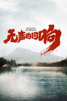 无声的回响