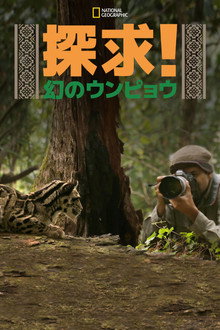 探求！幻のウンピョウ