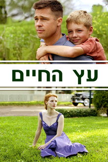 עץ החיים