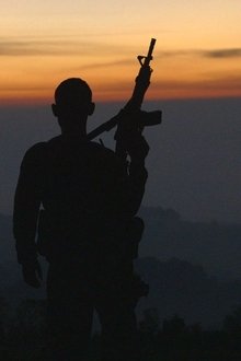 Cartel-Land