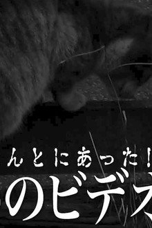 ほんとにあった！呪いのビデオ60
