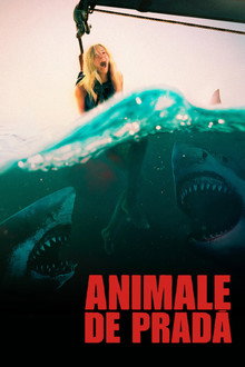 Animale de pradă