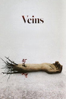 Veins
