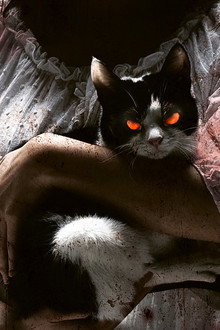 The Cat
