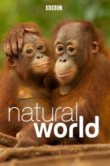 Natural World Natural World