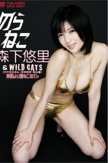 のらねこ 森下悠里 & WILD CAT’S/かでなれおん・中村知世・秋山優 沖縄より愛をこめて