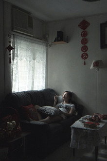 仙人掌