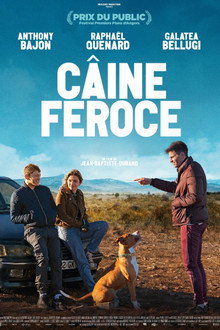 Chien de la casse