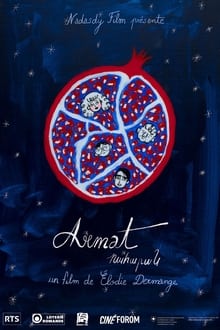 Poster do filme Armat